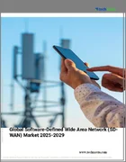 表紙：SD-WANの世界市場、2025年～2029年