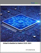 表紙：組み込みAIの世界市場 2025年～2029年