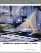 表紙：AIデータ管理の世界市場、2025年～2029年