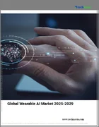 表紙：ウェアラブルAIの世界市場、2025年～2029年