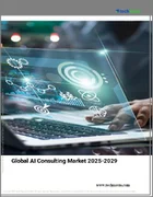 表紙：AIコンサルティングの世界市場 2025年～2029年