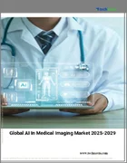表紙：医用画像におけるAIの世界市場 2025年～2029年