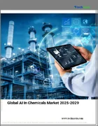 表紙：化学分野におけるAIの世界市場 2025～2029年