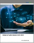 表紙：AIツールキットの世界市場 2025年～2029年
