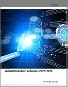 表紙：ブロックチェーンAIの世界市場 2025年～2029年