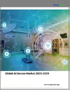 表紙：AIセンサーの世界市場 2025-2029
