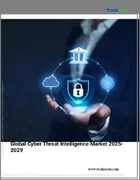 表紙：サイバー脅威インテリジェンスの世界市場 2025-2029