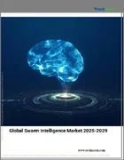 表紙：スワームインテリジェンスの世界市場 2025-2029