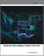 表紙：ダークウェブインテリジェンスの世界市場 2025-2029