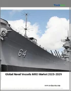 表紙：海軍艦艇MROの世界市場 2025年～2029年