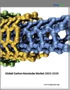 表紙：カーボンナノチューブの世界市場、2025年～2029年