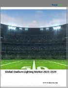 表紙：スタジアム照明の世界市場、2025年～2029年