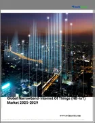 表紙：ナローバンドIoT（NB-IoT）の世界市場、2025～2029年