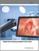 表紙：内視鏡検査におけるAIの世界市場 2025-2029
