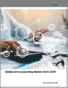 表紙：会計におけるAIの世界市場、2025～2029年