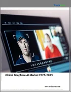 表紙：ディープフェイクAIの世界市場 2025-2029