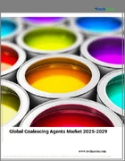 表紙：凝集剤の世界市場、2025年～2029年