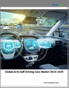 表紙：自動運転車におけるAIの世界市場 2025年～2029年