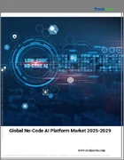 表紙：ノーコードAIプラットフォームの世界市場 2025-2029