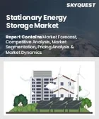 表紙：据置型エネルギー貯蔵市場規模、シェア、成長分析、技術別、用途別、容量別、エンドユーザー別、地域別-2025～2032年産業予測