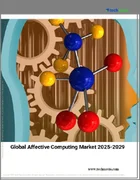 表紙：アフェクティブコンピューティングの世界市場 2025-2029