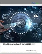 表紙：エンタープライズサーチの世界市場 2025-2029