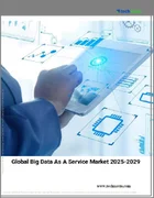 表紙：BDaaS（Big Data as A Service）の世界市場 2025-2029