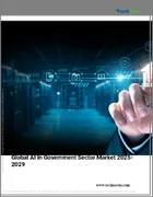 表紙：政府セクターにおけるAIの世界市場、2025年～2029年
