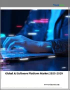 表紙：AIソフトウェアプラットフォームの世界市場、2025年～2029年