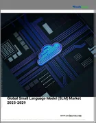 表紙：小規模言語モデル（SLM）の世界市場、2025年～2029年