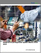 表紙：AI外観検査システムの世界市場、2025年～2029年