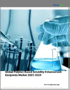 表紙：ポリマー系溶解性向上賦形剤の世界市場、2025年～2029年