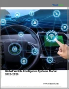 表紙：車両インテリジェンスシステムの世界市場、2025年～2029年
