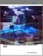 表紙：AIベースの画像解析の世界市場、2025年～2029年