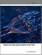 表紙：データ品質におけるAIの世界市場、2025年～2029年