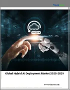 表紙：ハイブリッドAI導入の世界市場、2025年～2029年