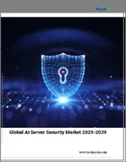 表紙：AIサーバーセキュリティの世界市場、2025年～2029年