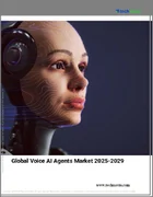 表紙：音声AIエージェントの世界市場、2025年～2029年