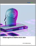 表紙：エージェント型AIの世界市場、2025年～2029年
