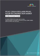 表紙：骨盤臓器脱 (POP：Pelvic Organ Prolapse) 治療・管理の世界市場 (～2030年)：製品・治療区分・用途・エンドユーザー・地域別
