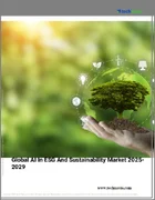 表紙：ESGとサステナビリティにおけるAIの世界市場 2025-2029