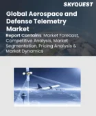 表紙：航空宇宙・防衛テレメトリー市場規模、シェア、成長分析：プラットフォーム別、用途別、技術別、構成部品別、地域別－業界予測 2026-2033年