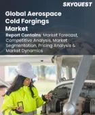 表紙：航空宇宙用冷間鍛造品市場規模、シェア、成長分析：用途別、タイプ別、プロセス別、地域別－業界予測、2026年～2033年