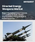 表紙：指向性エネルギー兵器市場規模、シェア、成長分析：技術別、用途別、プラットフォーム別、射程距離別、製品別、地域別－業界予測2026-2033年