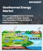 表紙：地熱エネルギー市場規模、シェア、成長分析：タイプ別、形態別、深度別、温度別、出力別、用途別、最終用途別、地域別－業界予測2026-2033年
