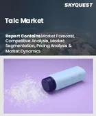 表紙：タルク市場規模、シェア、成長分析：用途別、グレード別、形態別、流通経路別、純度別、地域別－業界予測2026-2033年