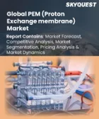 表紙：PEM（プロトン交換膜）市場規模、シェア、成長分析：タイプ別、材料別、用途別、地域別－業界予測2026-2033年