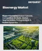 表紙：バイオエネルギー市場規模、シェア、および成長分析：製品タイプ別、原料別、技術別、用途別、地域別－業界予測2026-2033年