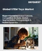 表紙：STEM玩具市場の規模、シェア、成長分析：種類別、製品タイプ別、素材別、年齢層別、価格帯別、モデル別、エンドユーザー別、流通チャネル別、地域別－業界予測2026-2033年