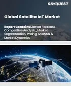 表紙：衛星IoT市場の規模、シェア、成長分析：サービスタイプ別、組織規模別、業界別、地域別－業界予測（2026-2033年）